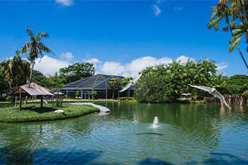 Kerala: Backwaters, Green Hills and Coastal Retreats