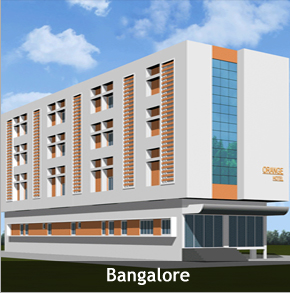 The Orange Hotel