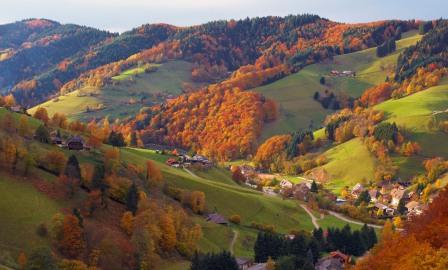 Most Visited Places In Germany blackforest
