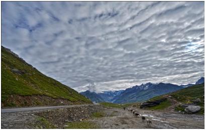 places in manali