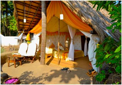 Tent Cottage In India