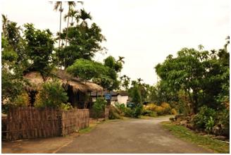 Visit Mawlynnong