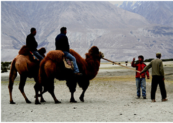 Ladakh