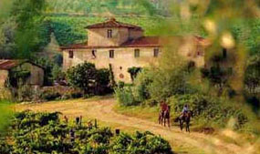 tuscan