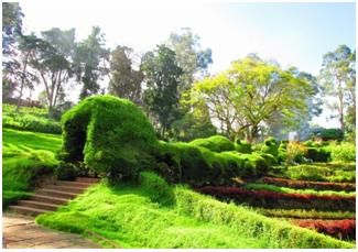 Princess of Hill station