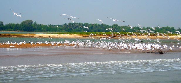 Chilka Lake