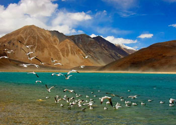 leh