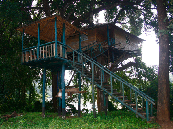 tree