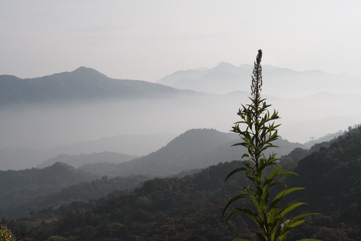 coorg