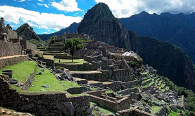 mex