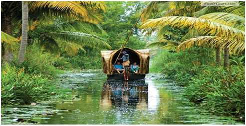 Main Reason Why You Should Visit Kerala