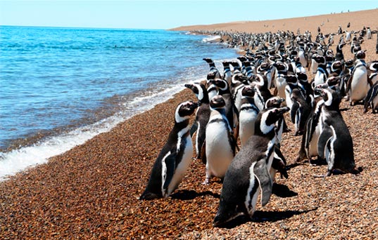 Famous Places In Argentina