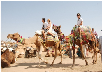 Rajasthan