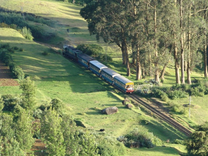 OOTY
