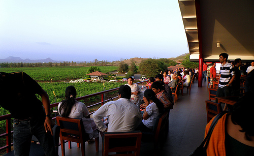 wine