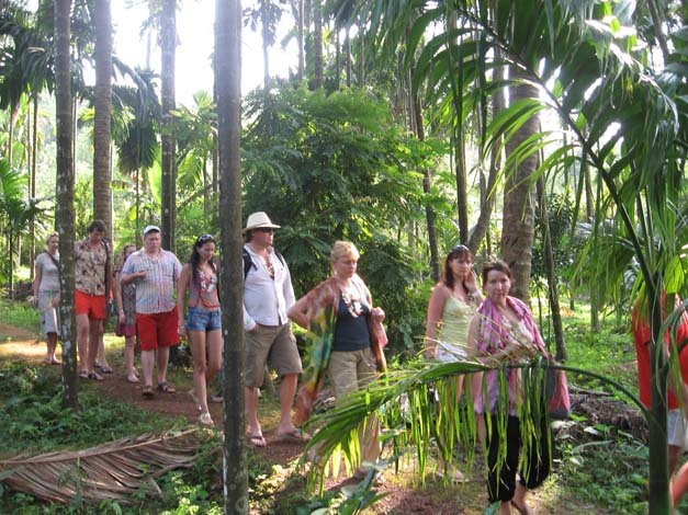 goa tourist