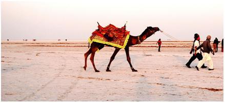 Rann Utsav 2015