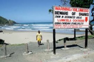 Dangerous Beaches