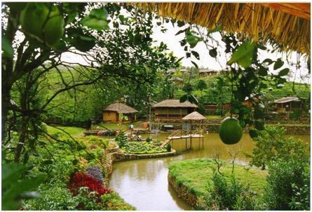 Tent Cottage In India