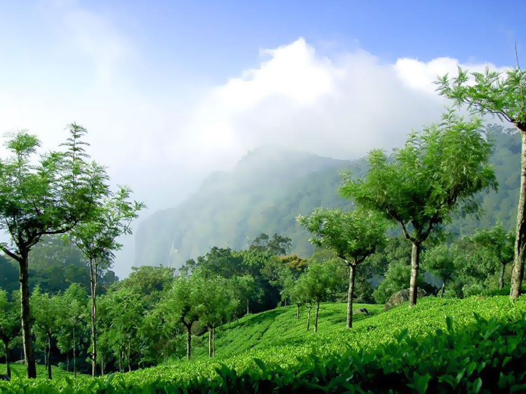 hill station