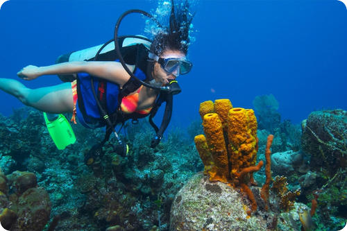 Andaman Nicobar Island