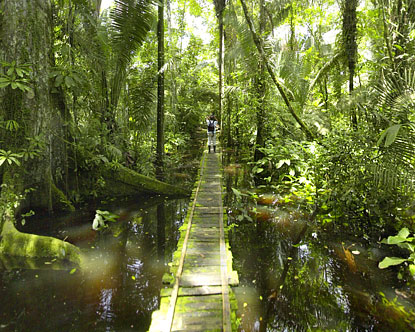 Most Beautiful Places In Brazil