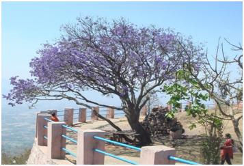 Yercuad Travel