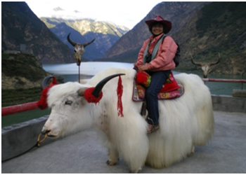 Sikkim