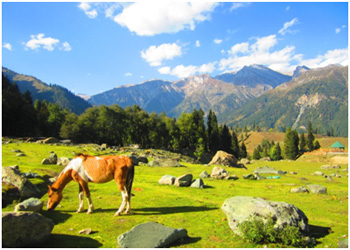 Jammu and Kashmir