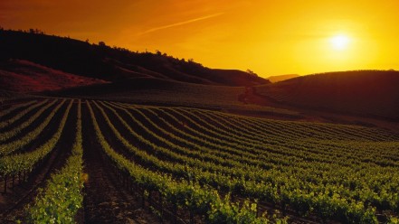 napa valley