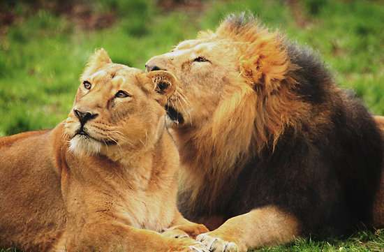 Top 5 National parks In India