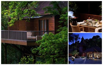 Most Luxurious Resorts in Coorg