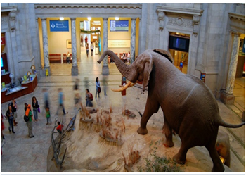 National Museum