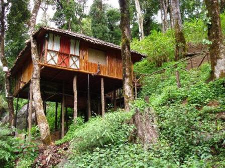 Tent Cottage In India