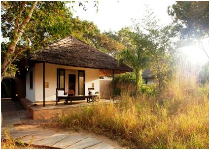 Tent Cottage In India