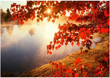 Top Most Beautiful Places