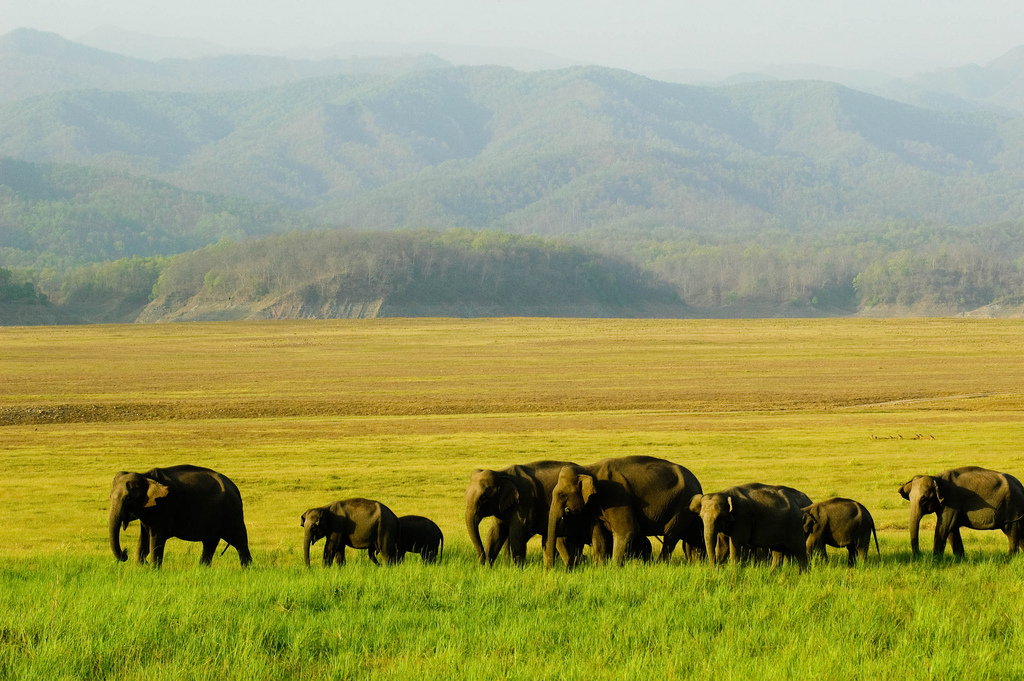 Top 6 Uttarakhand Travel Destinations