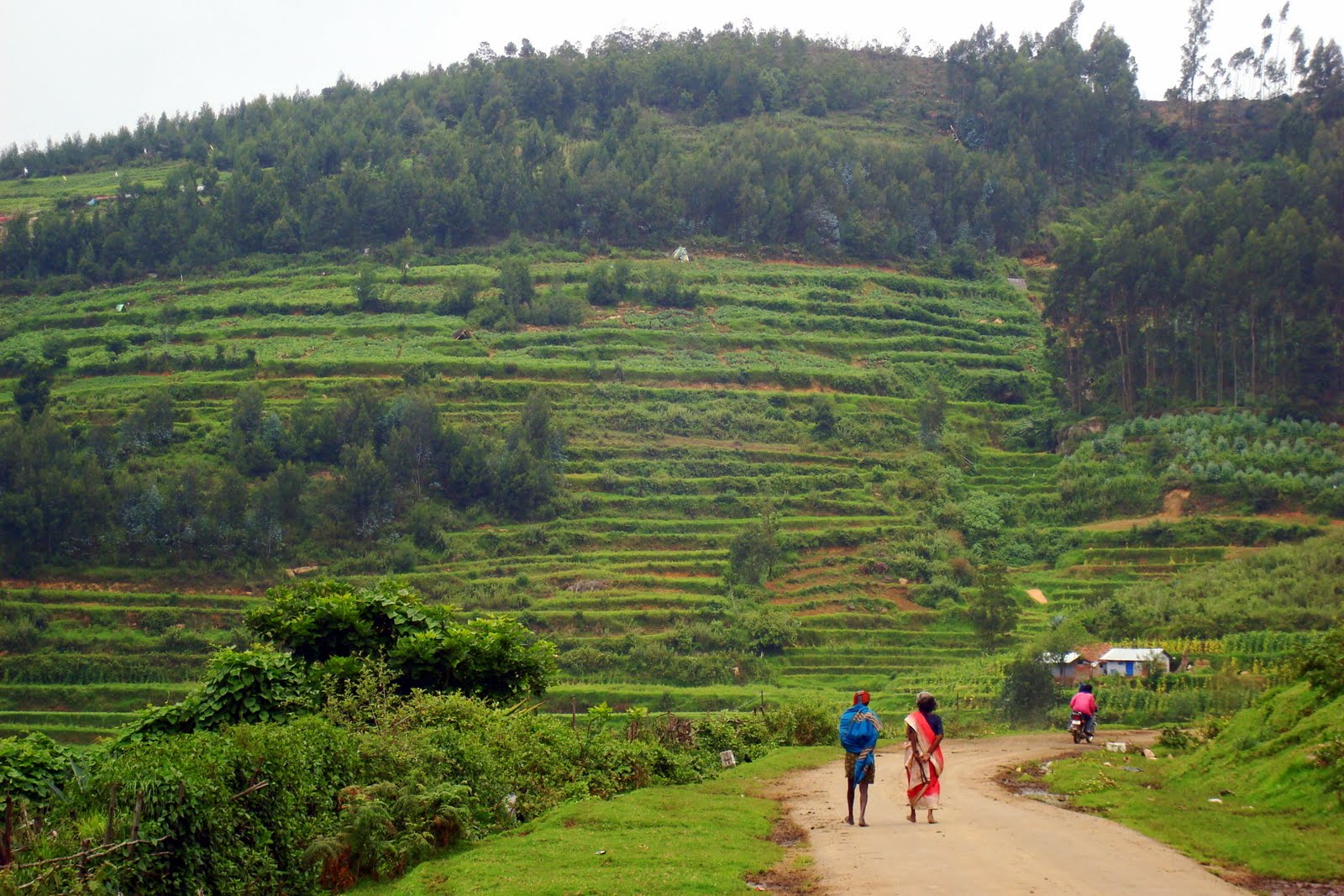 hill