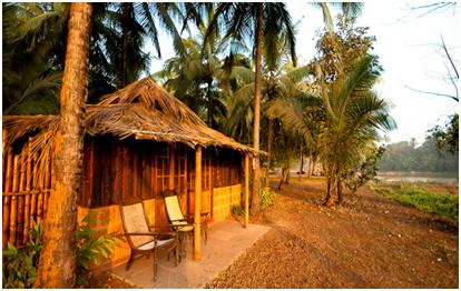 Goa Homestays for all Bugets