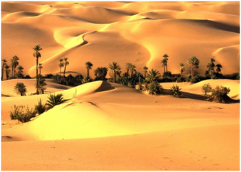 Rajasthan