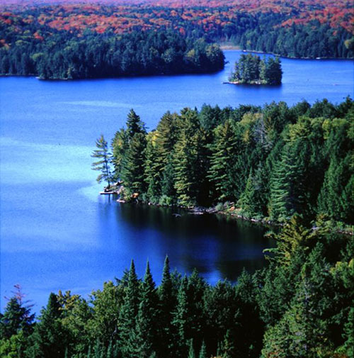 paradise