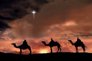Incredible sights of Camel safari in India