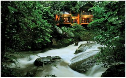 Famous Resorts in Cochin
