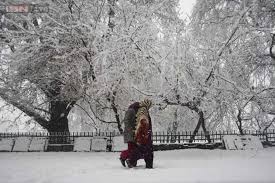 60 Kashmiris shifted to safer locations after snowfall