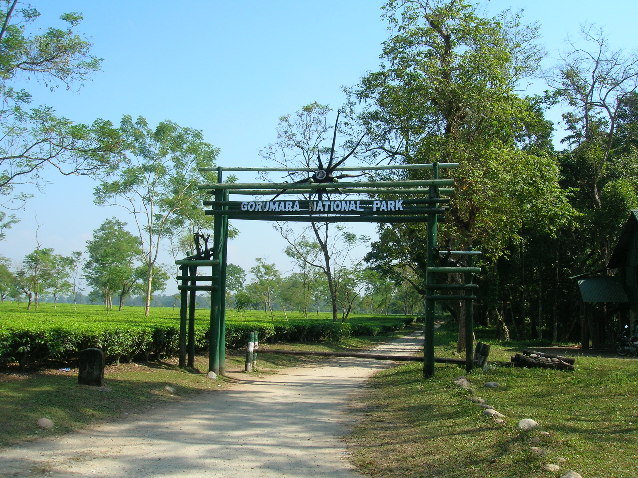 Rhino census in Bengal\\\'s Gorumara National Park