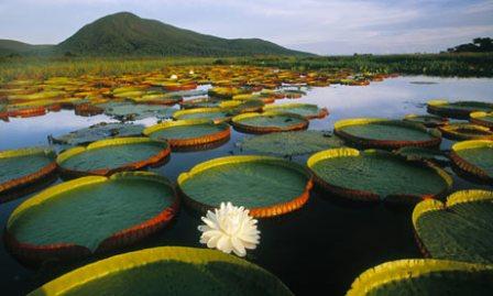 Most Beautiful Places In Brazil