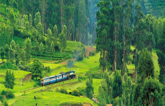 Nilgiri Mountain Railway