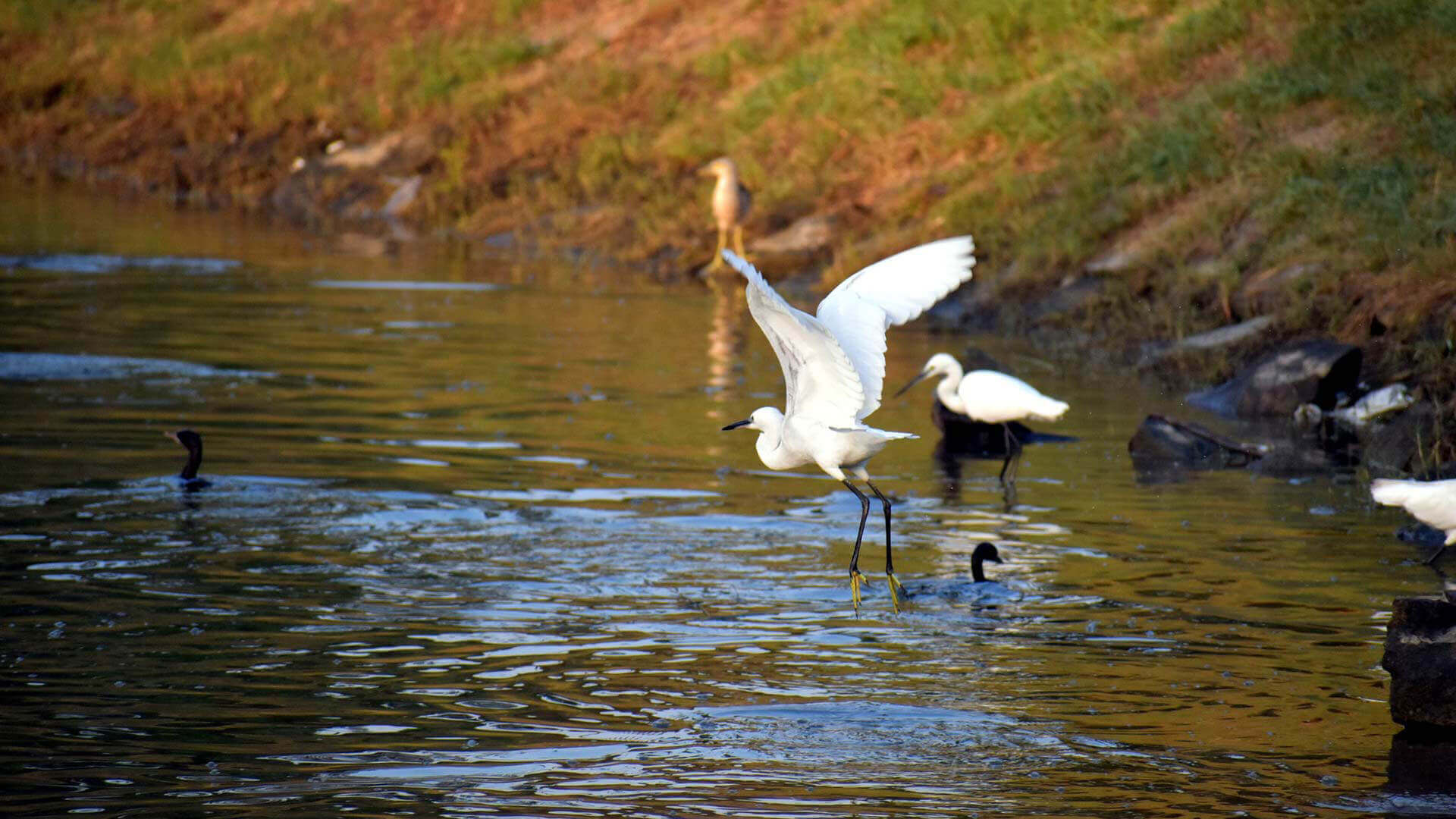Bharatpur - An Amazing Place To Visit During Monsoons