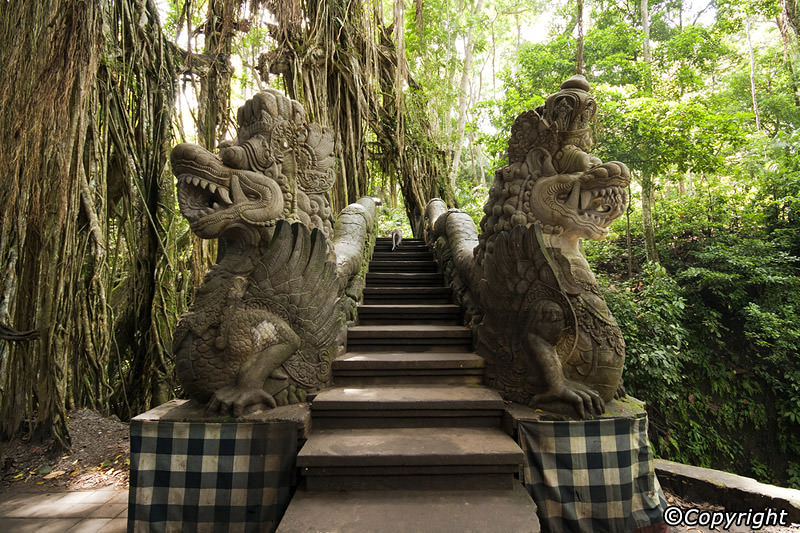 Ubud Monkey Forest