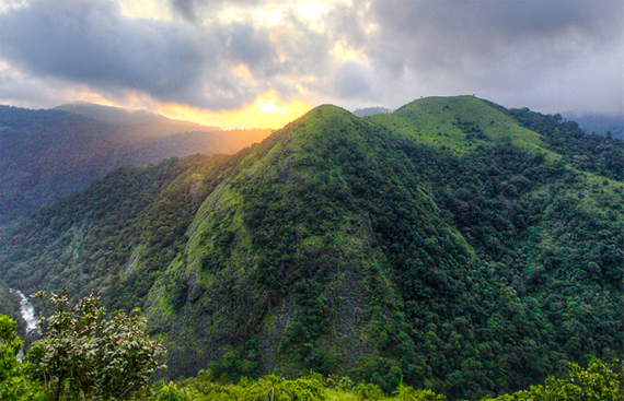 Silent Valley National Park, Kerala